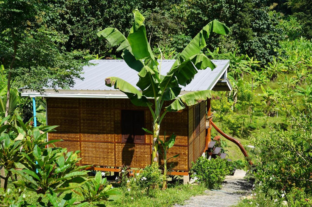 True Nature Chiang Mai - Yoga & Meditation Homestay Retreat Exterior foto