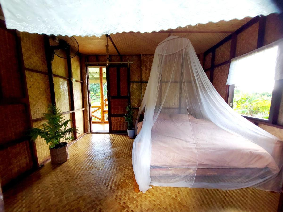 True Nature Chiang Mai - Yoga & Meditation Homestay Retreat Exterior foto